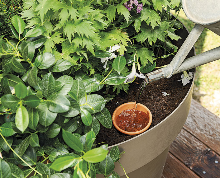 Una olla de riego de terracota para filtrar el agua lentamente 